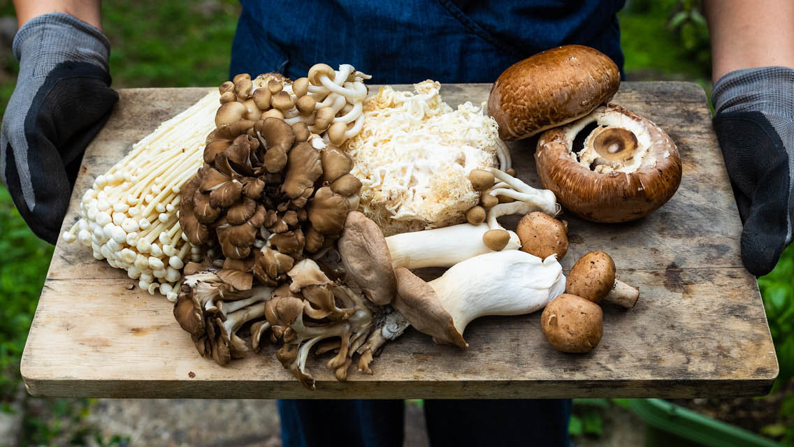 a variety of mushrooms on a rustic cutting board