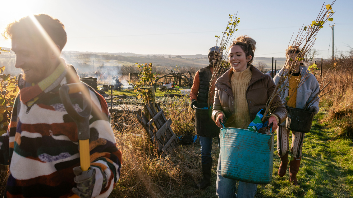a group of young adults plant trees