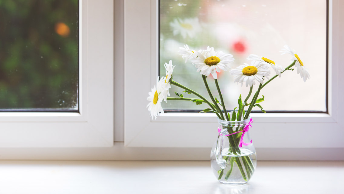 vase of daisies on a window sill
