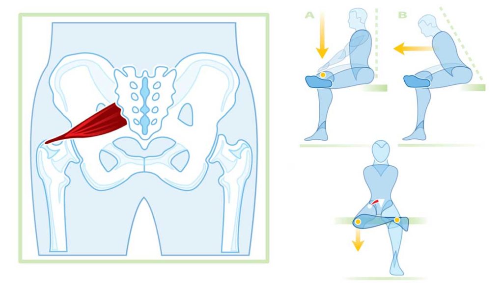 illustration piriformis and how to stretch