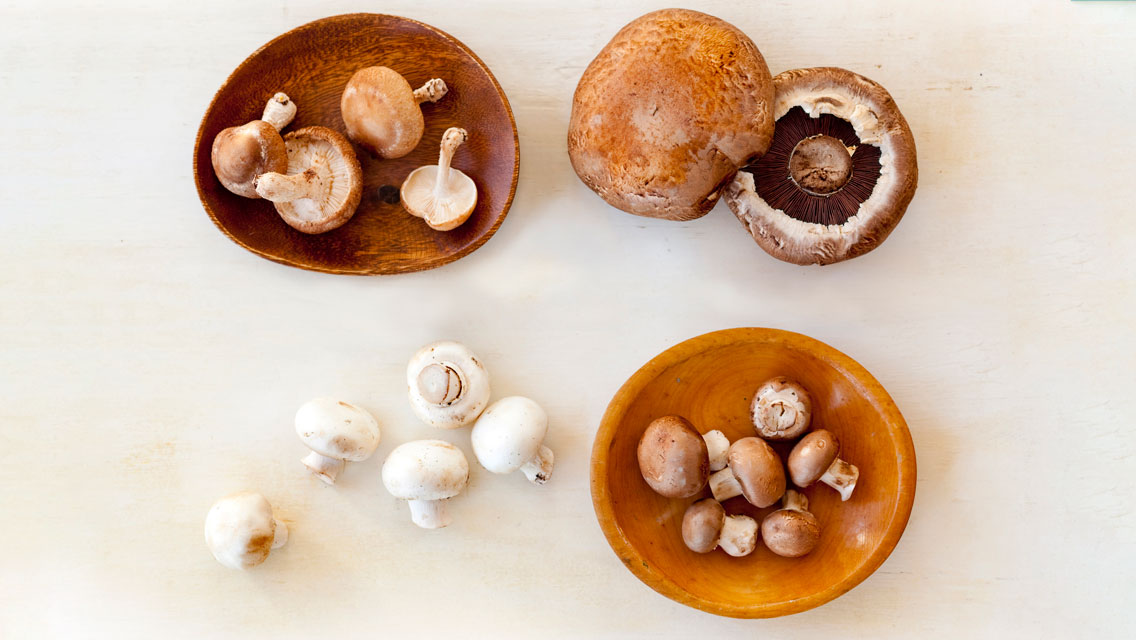 a variety of mushrooms