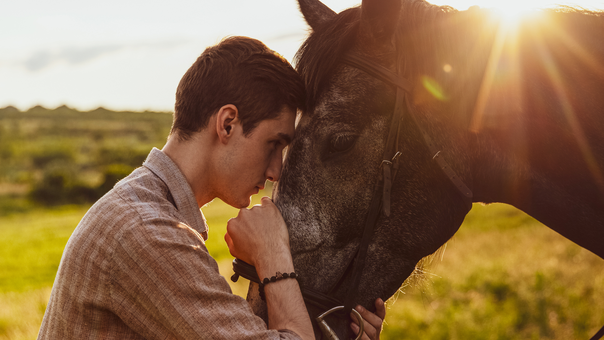 equine therapy