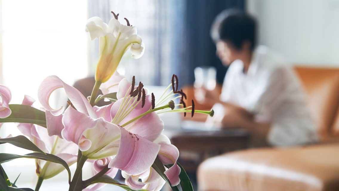 stargazer lilies in a brightly lit room