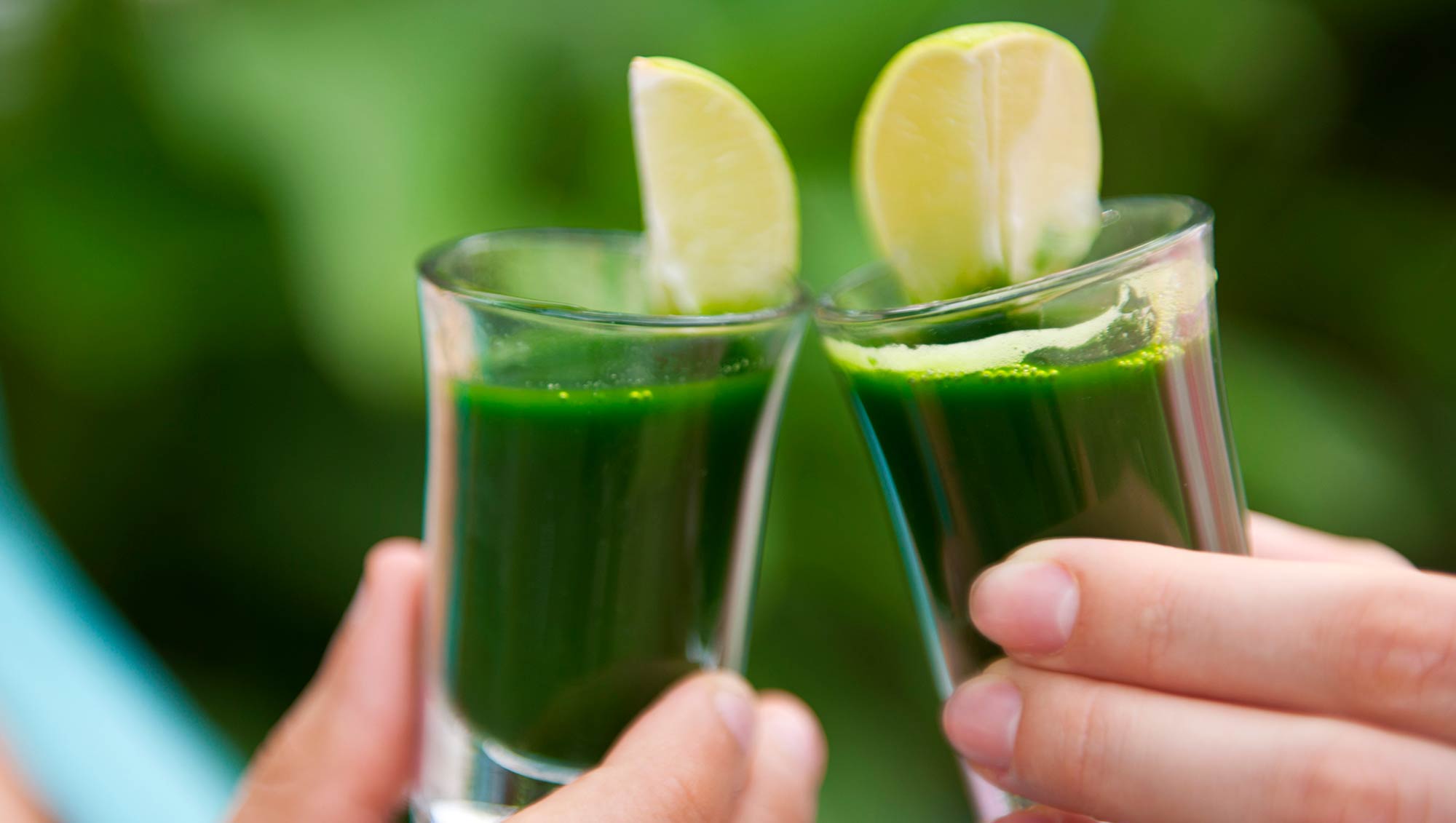 people cheers with green juice