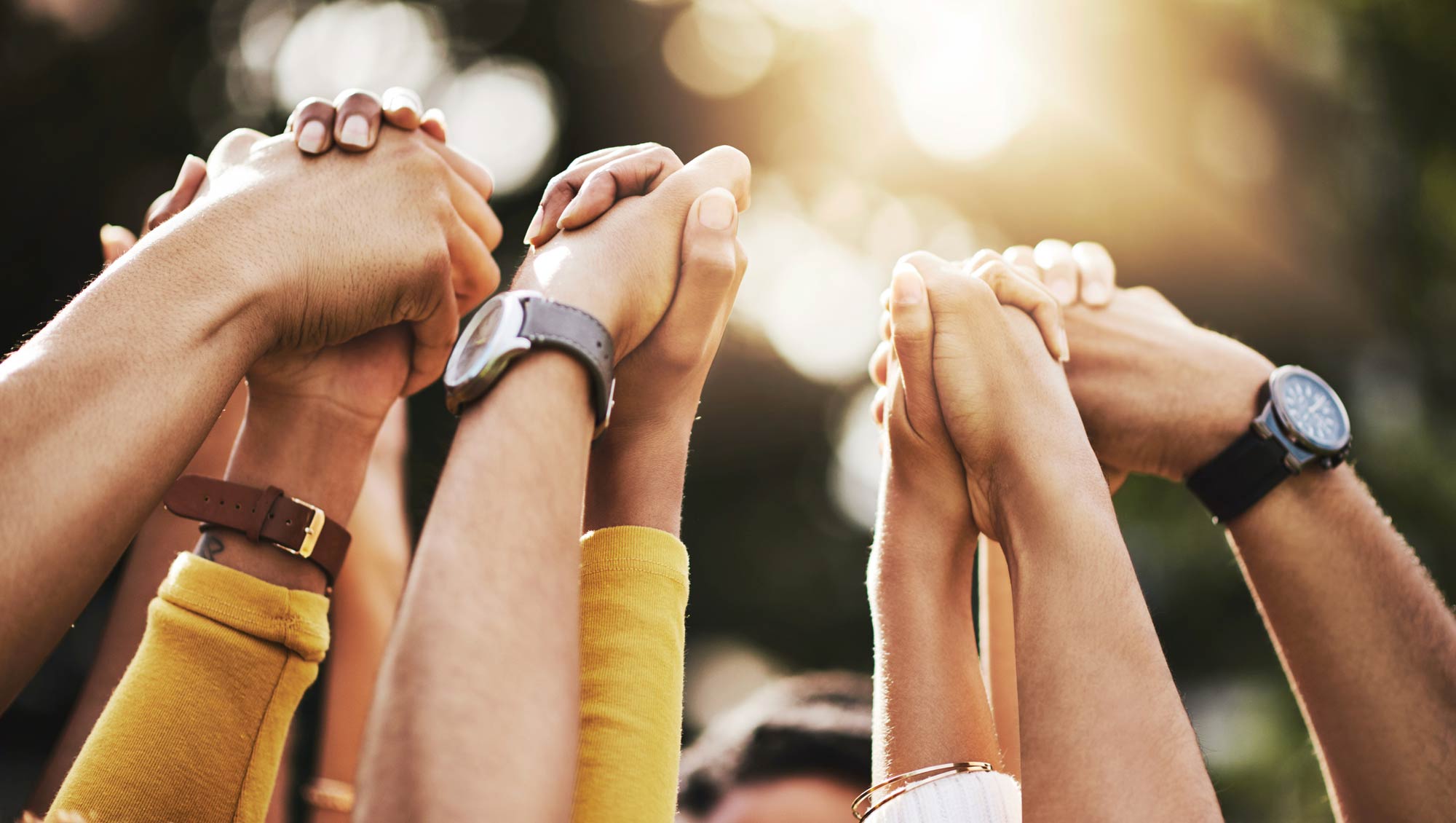 people holding hands raised to the sky