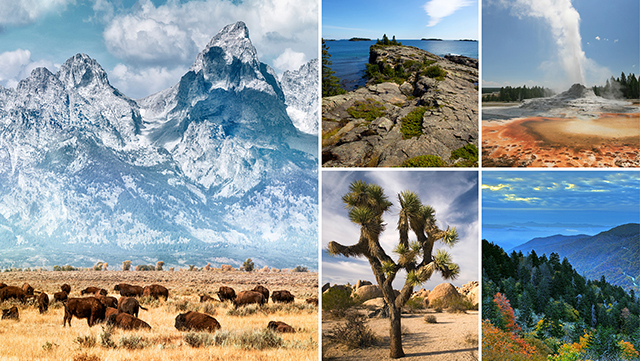 a collage of shots from national parks
