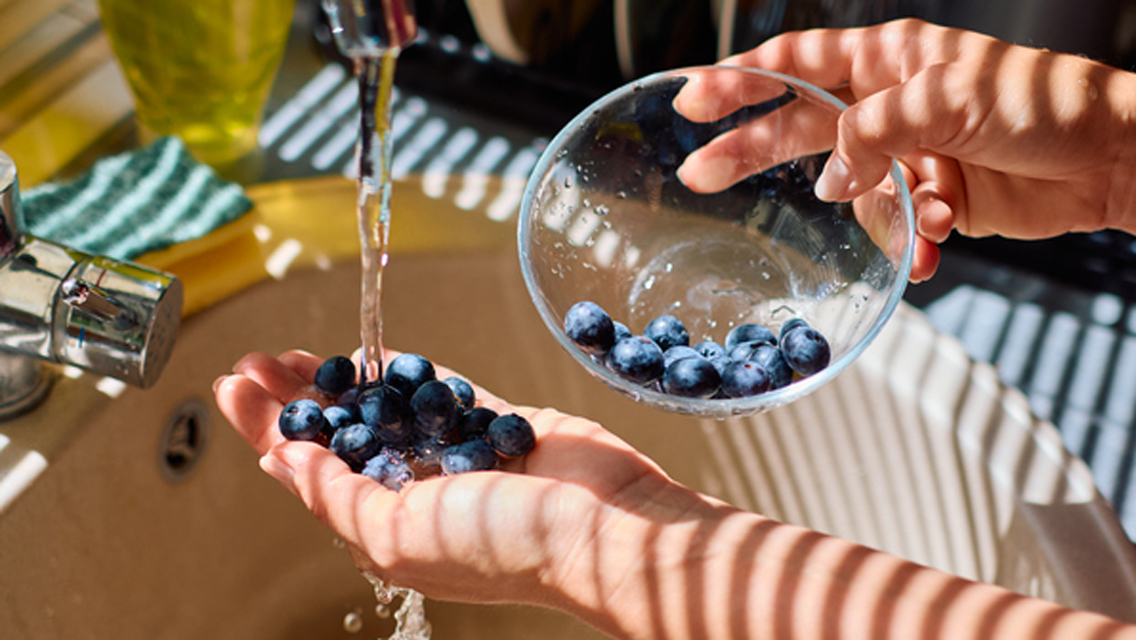person washing blueberries