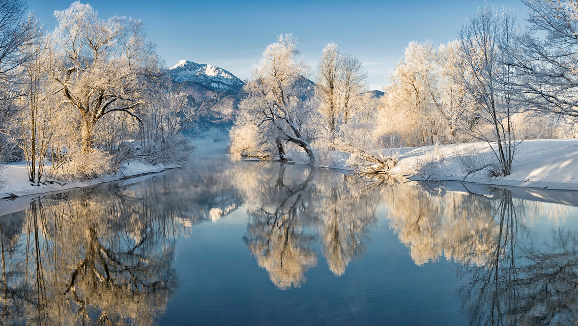 a winter wonderland