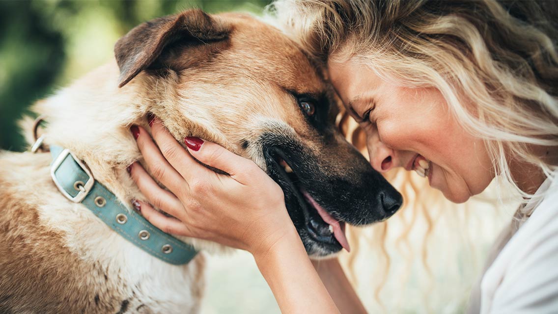 Woman petting dog