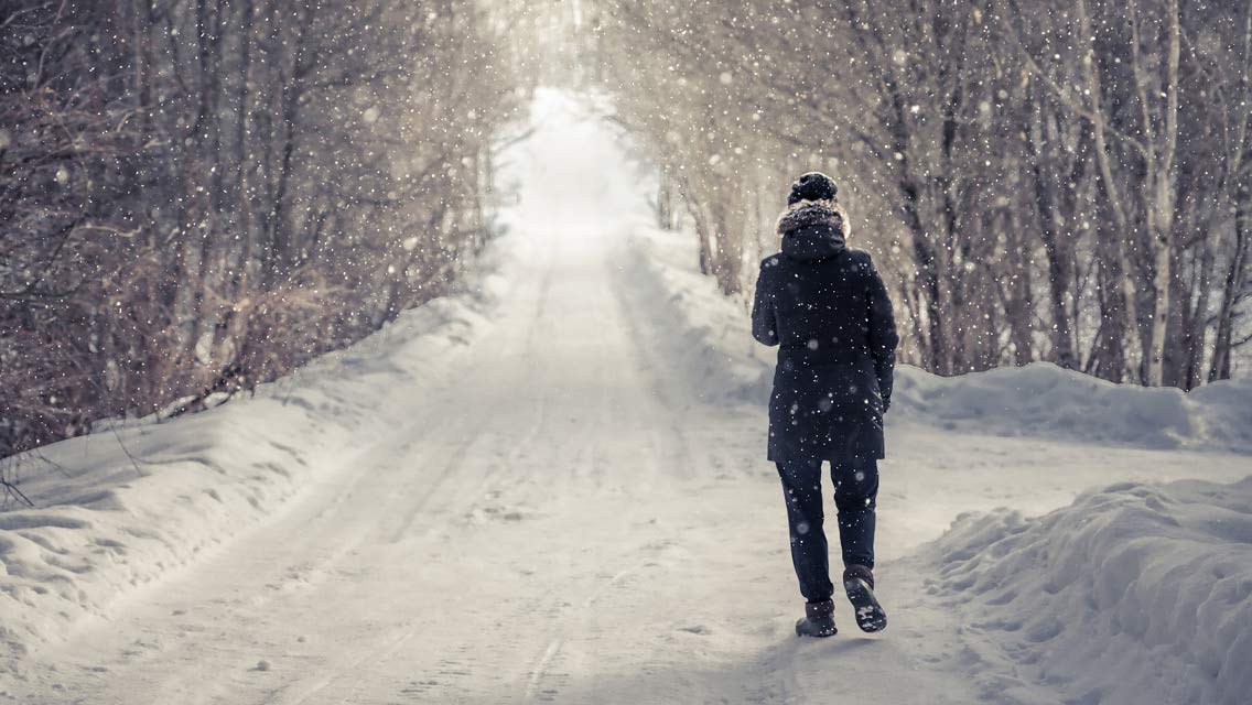 A person walks in solitude on a wintery trail.