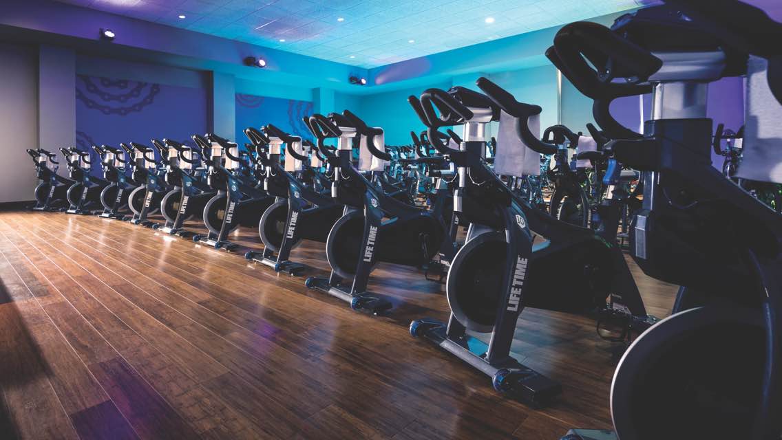 Cycle bikes in a fitness studio