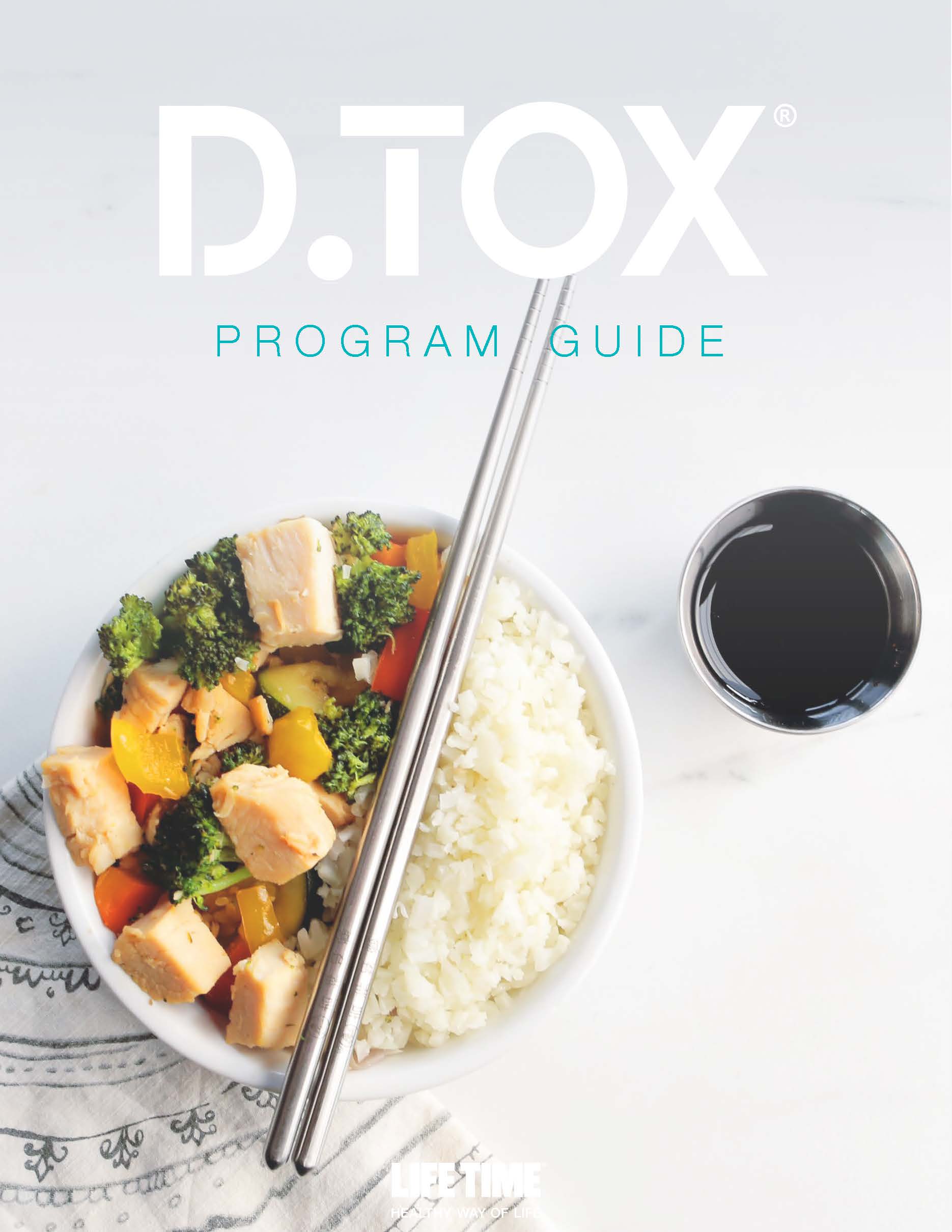 Cover image of the DTOX Program Guide