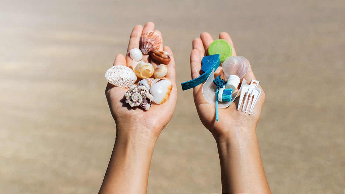 a person at the beach holds one hand filled with shells and the other filled with plastic garbage