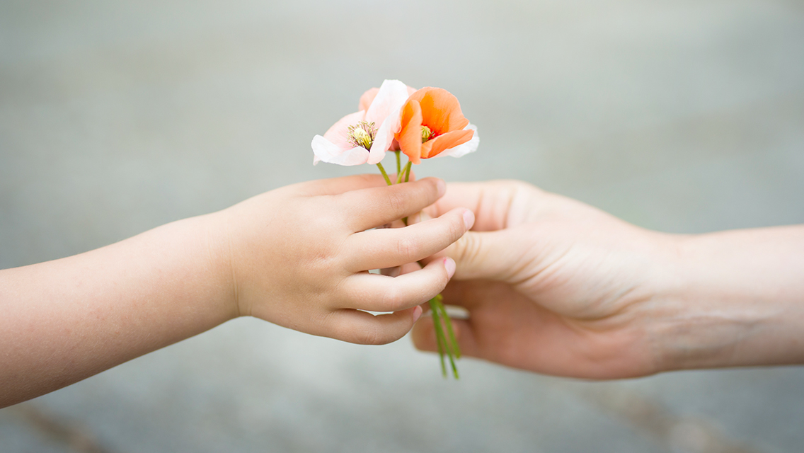 an adult hand hands poppies to a child's hand