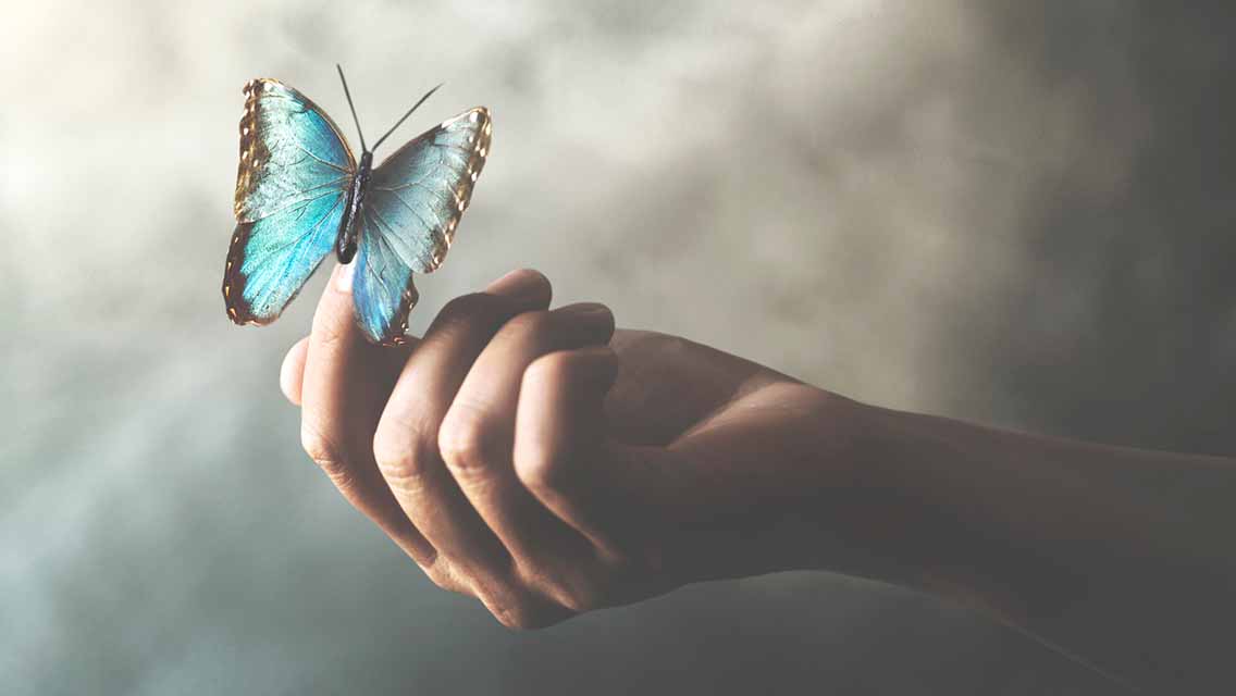 gut instincts - a blue butterfly on a hand