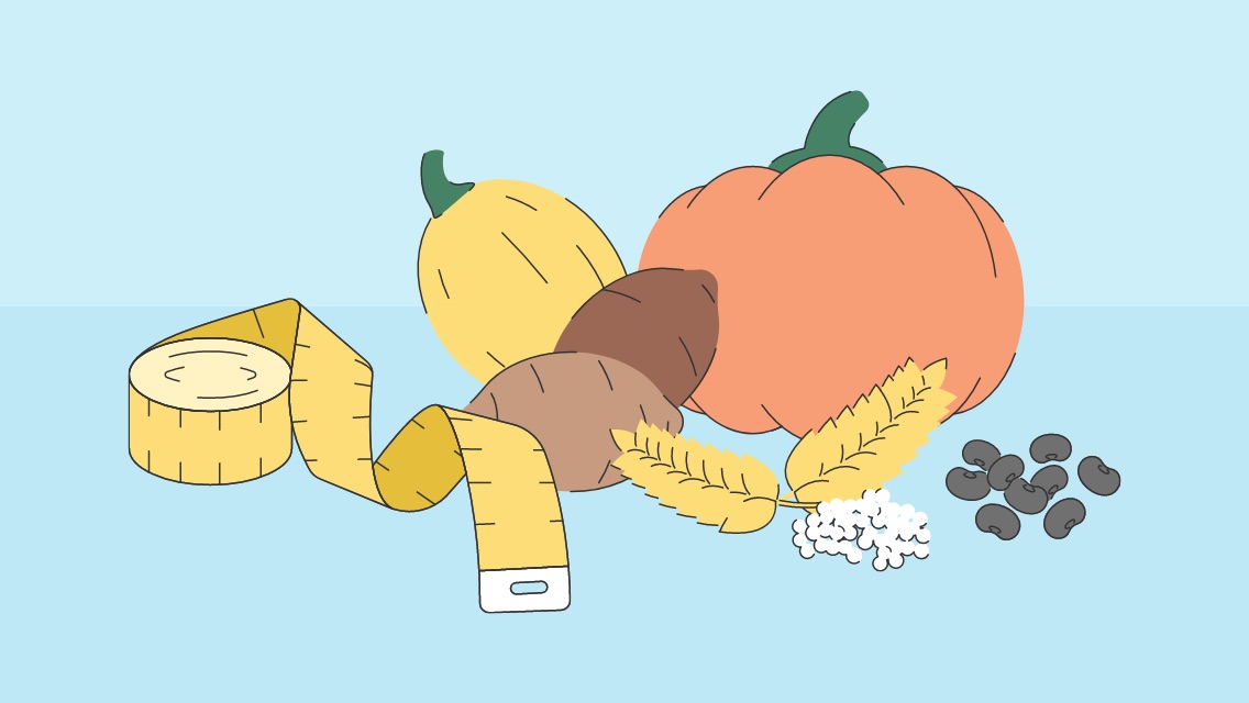 an illustration of pumpkin, squash, yams, beans and a tape measure