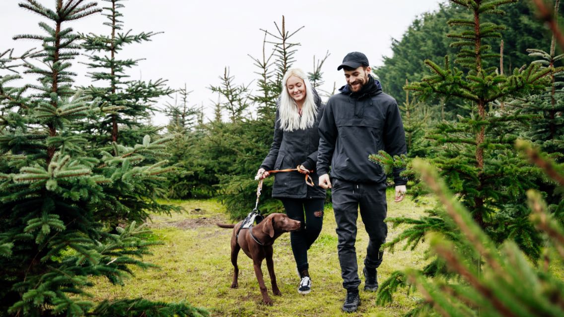 A man, woman, and their dog walking outside in a forested area.
