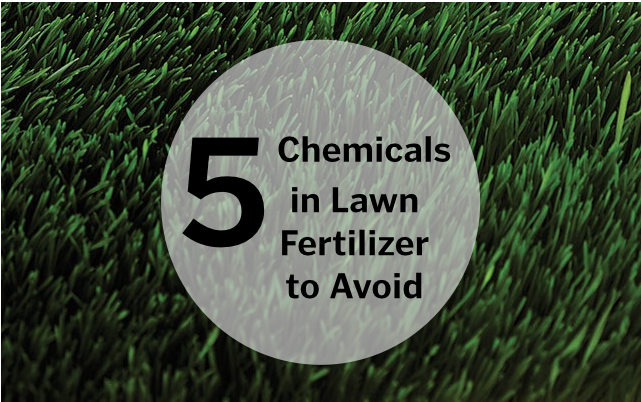 5 Chemicals to Avoid in Fertilizer