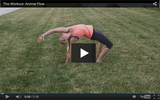 The Workout: Animal Flow (Video)