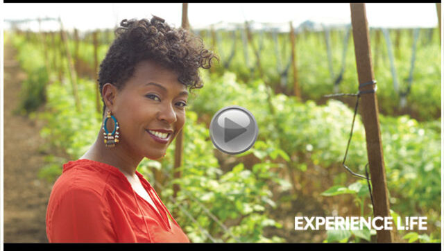 Behind the Scenes With Robin Emmons (Video)