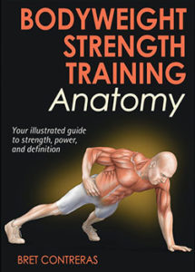 Bodyweight-Strength-Training-Anatomy_Web