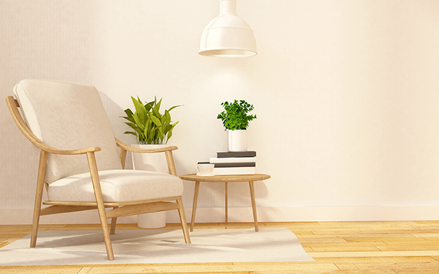 Chair-plant-furniture