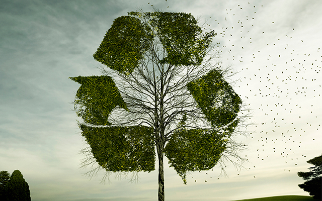 Photo illustration of a tree, birds and recycling sign