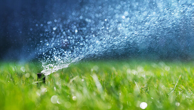 A water sprinkler on a lawn