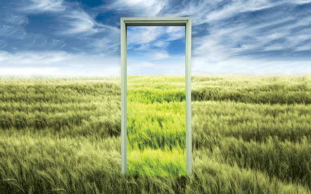 A picture of an empty door frame situated in a field of grass