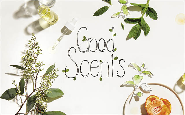 Illustration with text "Good Scents"