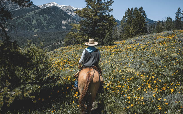 Horseback riding through the wildflowers in the Grand Teton Mountain range