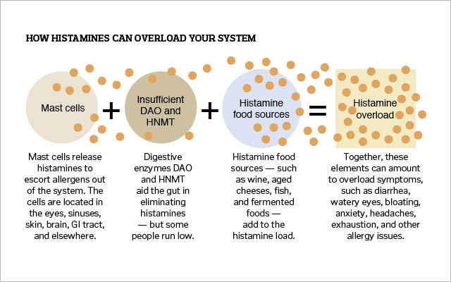 illustration of histamine overload system