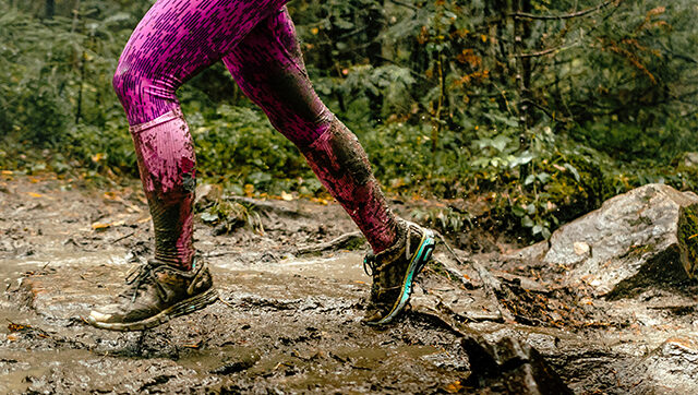 In Praise of Mud