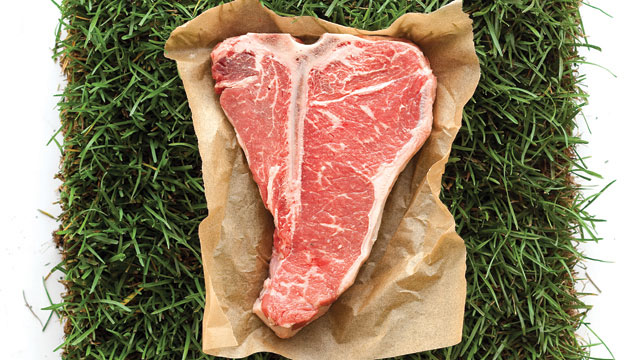 grass fed meat