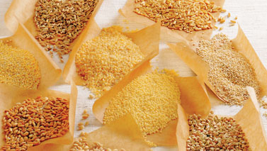 dried grains
