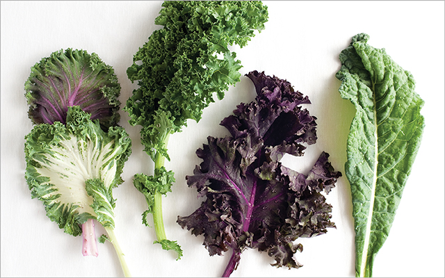 Different types of kale