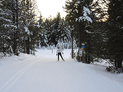 Lone Skier at West Yellowstone