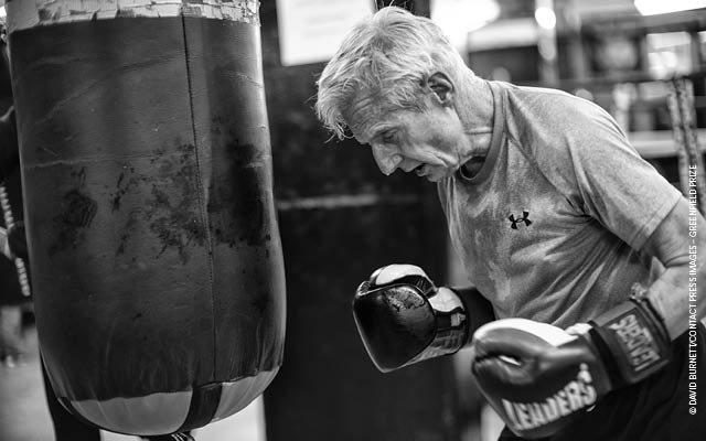 elderly boxer