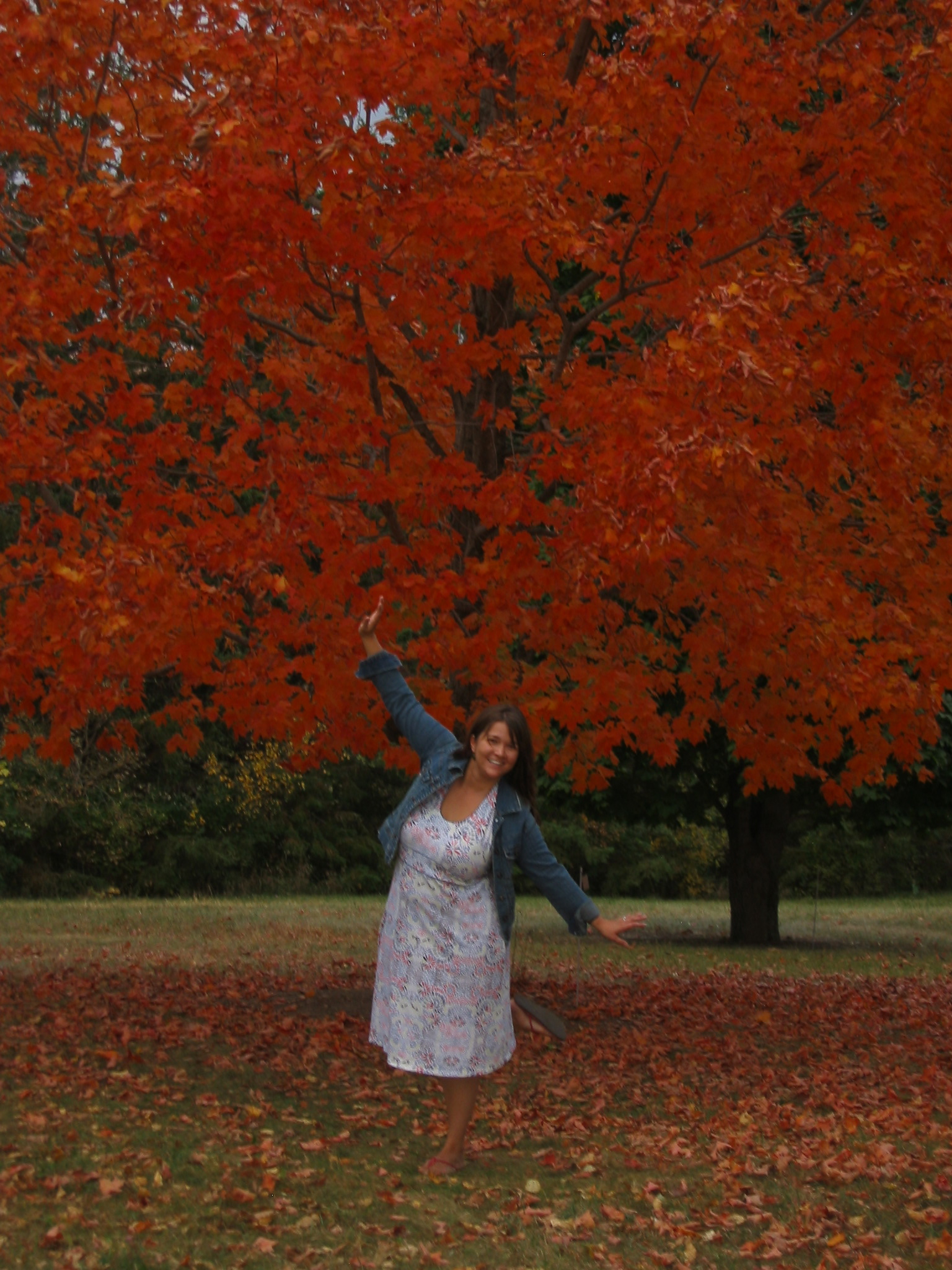 woman in front of red maple tree