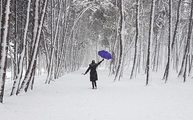 Woman walking in snow with a blue umbrella