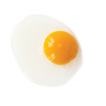 egg dark yolk