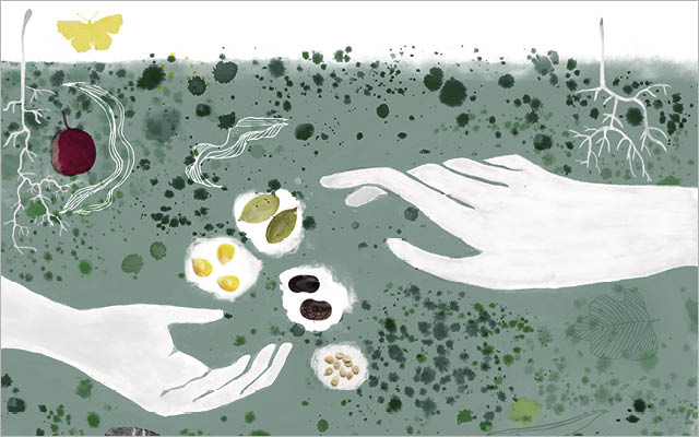 illustration of hands planting seeds