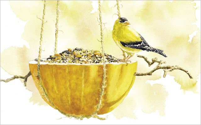 Illustration of a pumpkin bird feeder