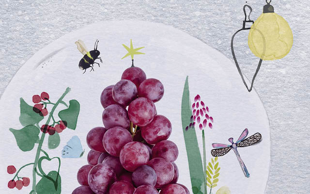 An illustration of grapes on a plate