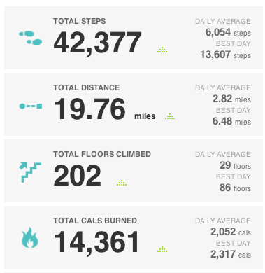 My FitBit weekly report for 12/30–1/5. 