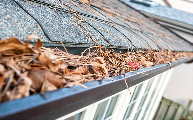 gutters filled with leaves and pine needles