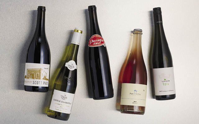 Variety of wine bottles