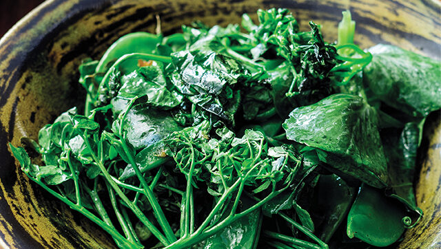 Warm Wilted Pea shoots