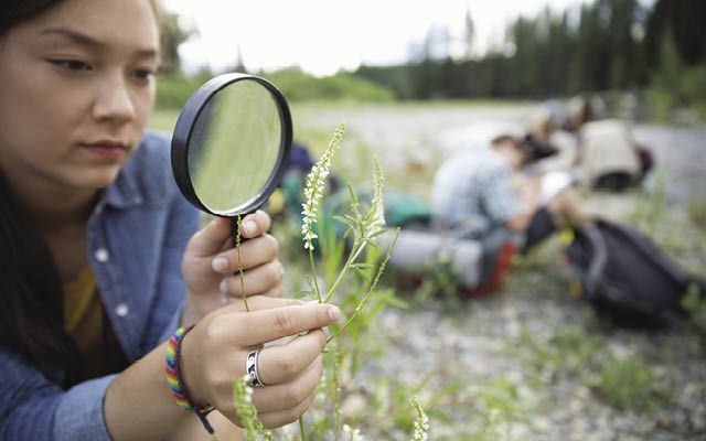 Person examining plants with magnifying glass