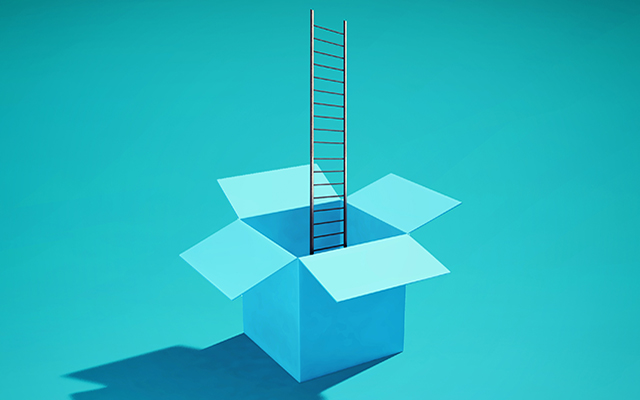 An illustration of a ladder in a box.